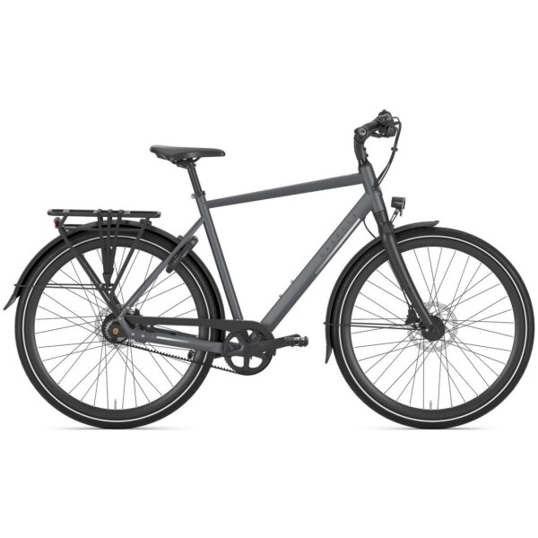 Gazelle Chamonix S11 Cloud Grey Mat Heren 2025