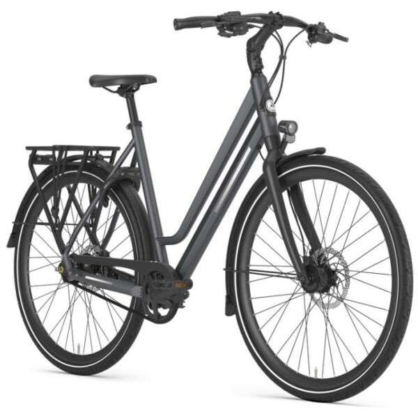 Gazelle Chamonix S11 Cloud Grey Mat DAMES 2024 - Afbeelding 4
