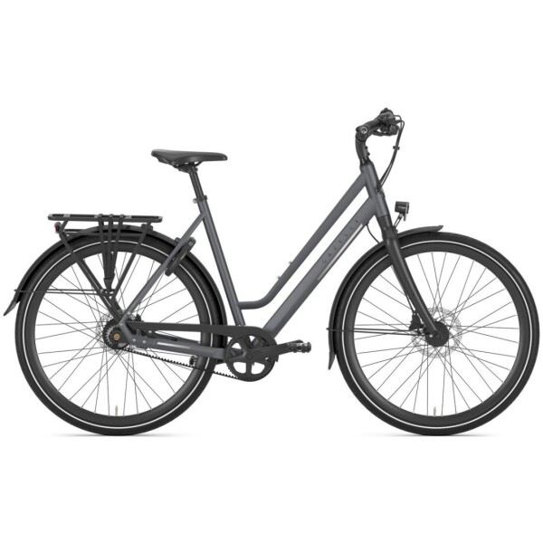 Gazelle Chamonix S11 Cloud Grey Mat DAMES 2024 - Afbeelding 3