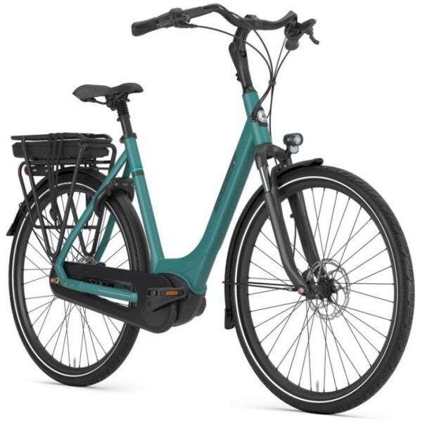 Gazelle Paris C7+ Thyme Green Mat DAMES 2024