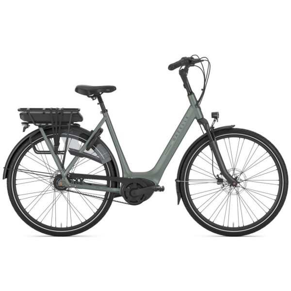 Gazelle Orange C8+ Twilight Green Mat DAMES 2025