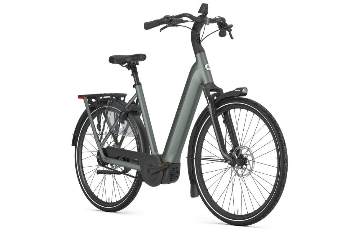 Gazelle Grenoble C5+ First Edition Twilight Green Mat DAMES 2027